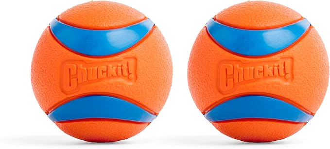 Chuckit! Ultra Ball Dog Toy